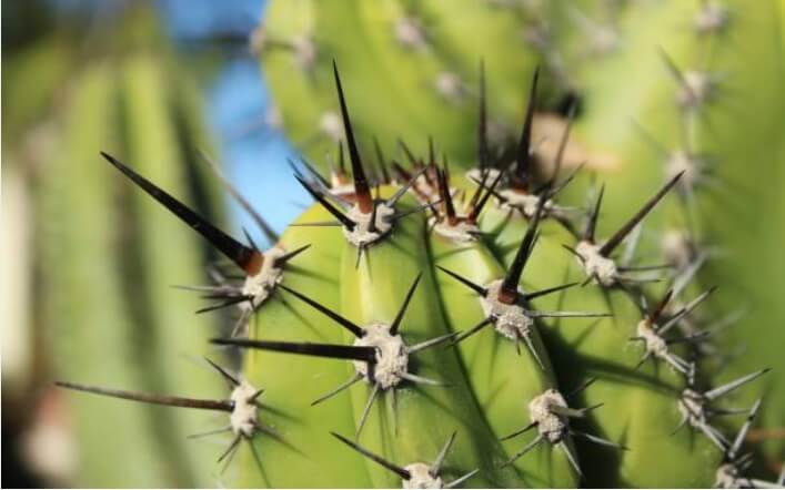 Office 365 and OneDrive pain points: